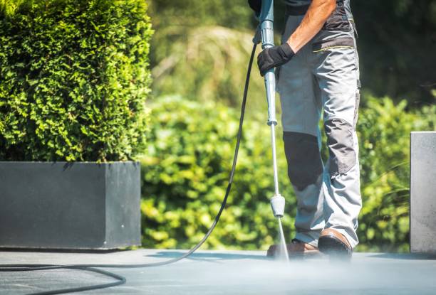 Best Building Exterior Pressure Washing in Hampton, IL
