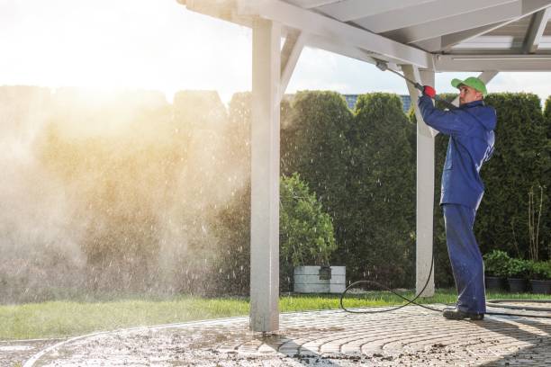Best Soft Washing for Delicate Surfaces in Hampton, IL