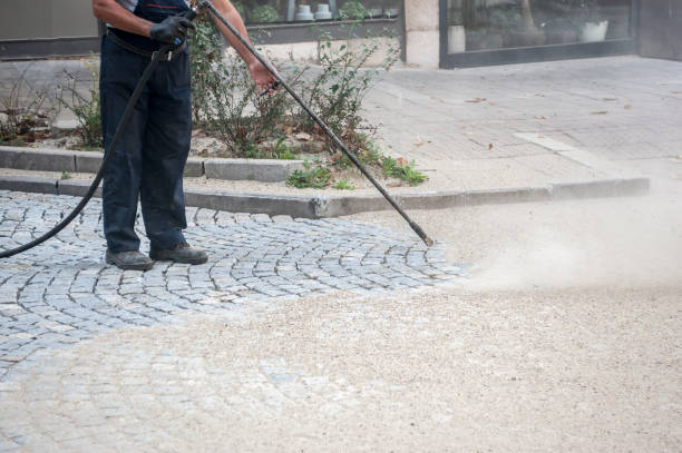 Best Window and Screen Pressure Cleaning in Hampton, IL