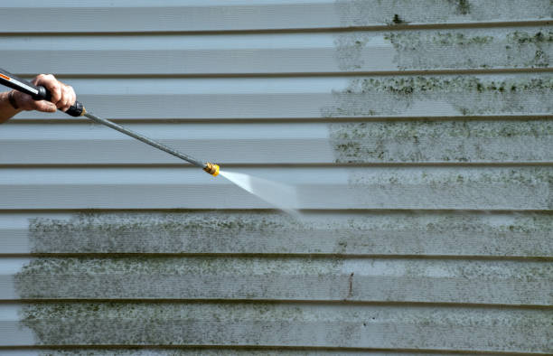 Best Deck and Patio Pressure Washing in Hampton, IL