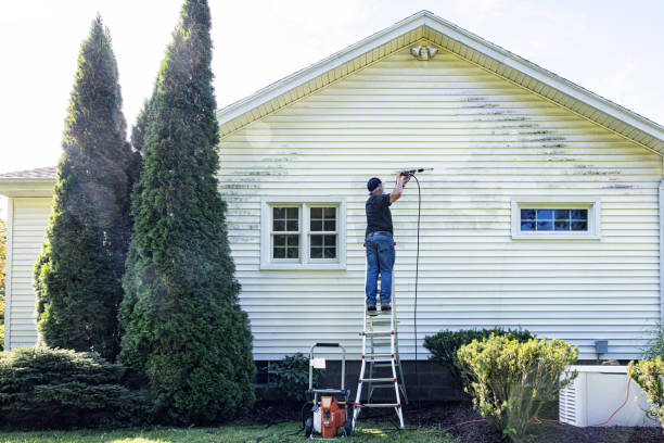 Best Fence Cleaning and Maintenance in Hampton, IL